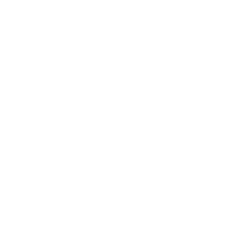 名古屋の害虫/害鳥/害獣駆除なら、あなたの近くの駆除屋さんミスター