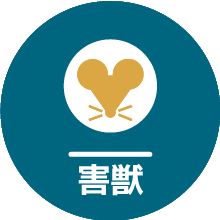 ネズミ・害獣駆除