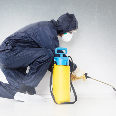 施工実績に裏付けられた確かな駆除技術