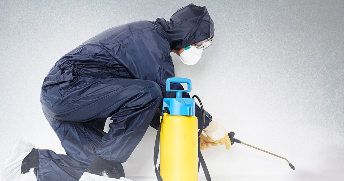 愛知県名古屋市でのシロアリや害虫駆除の診断なら
